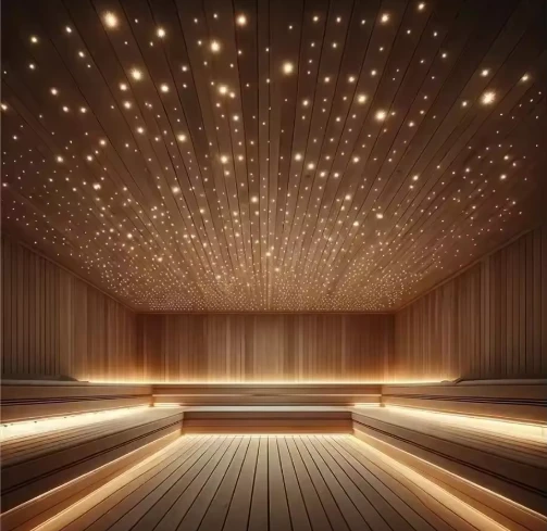 Lumini cu fibră optică LED RGB, luminoase, montate pe tavan